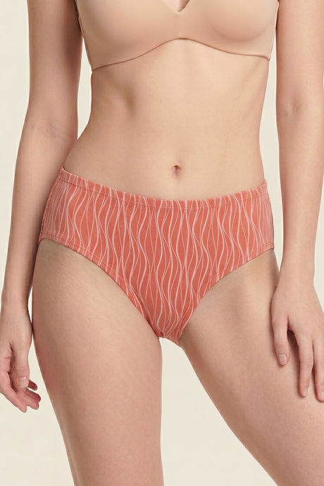 Zivame Regular Rise Full Coverage Hipster Panty (Pack of 3) - Multicolor — image 10